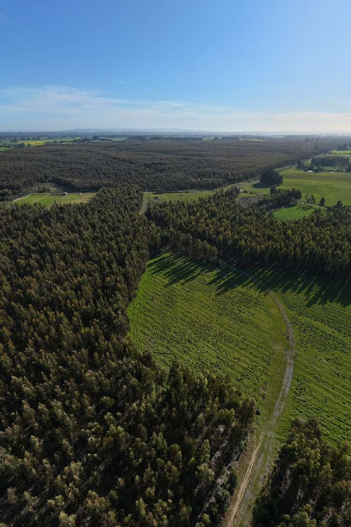 Parcela 25 - La Esperanza 